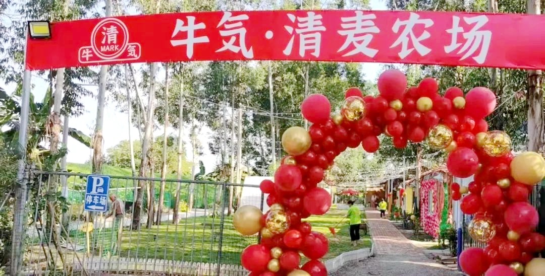 禪城上元清麥農(nóng)場
