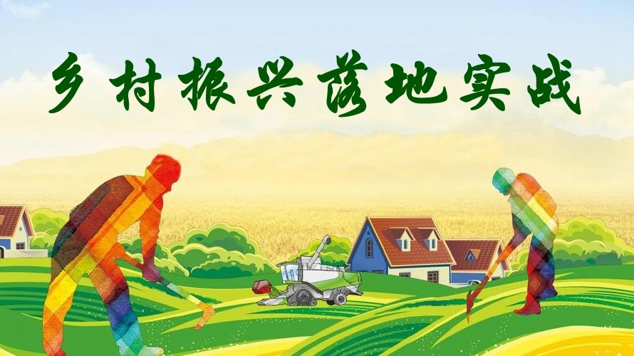 農(nóng)業(yè)強(qiáng) 農(nóng)村美 農(nóng)民富——鄉(xiāng)村振興落地實戰(zhàn)