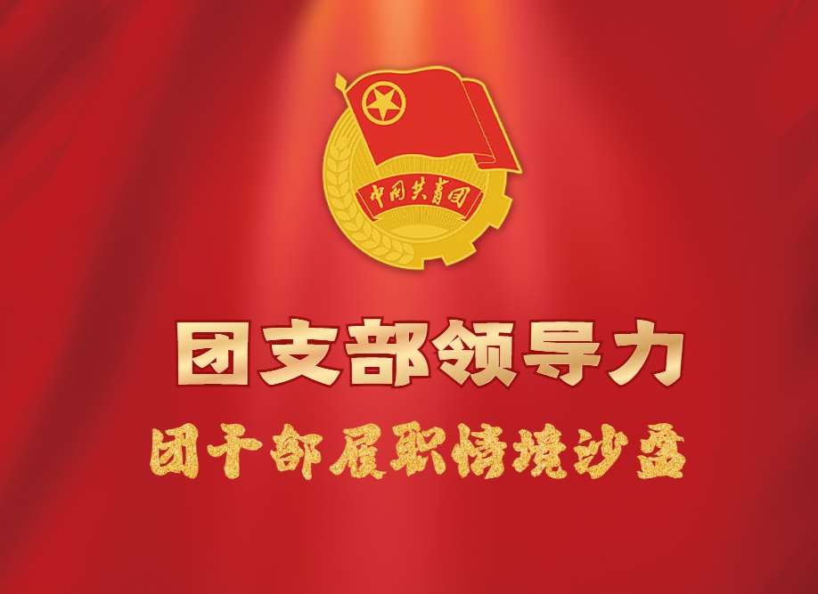 《團支部領(lǐng)導(dǎo)力》團干部履職情境沙盤
