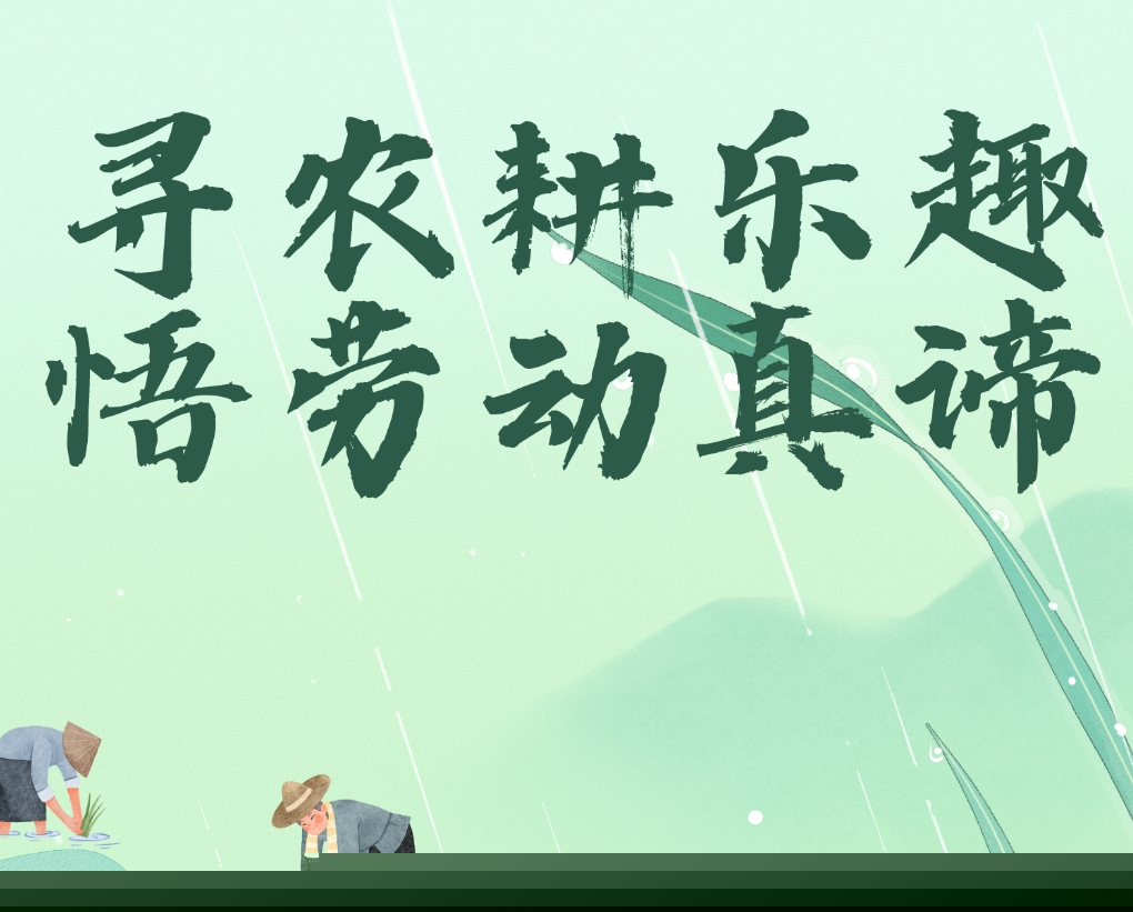 尋農(nóng)耕樂趣，悟勞動(dòng)真諦--周末水稻主題研學(xué)